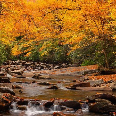 Romantic, Honeymoon Cabin In The Smokies! แกตลิงเบิร์ก ภายนอก รูปภาพ
