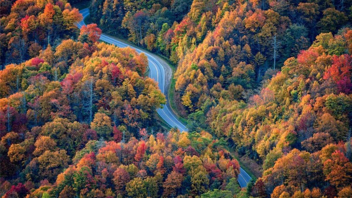Romantic, Honeymoon Cabin In The Smokies! แกตลิงเบิร์ก ภายนอก รูปภาพ