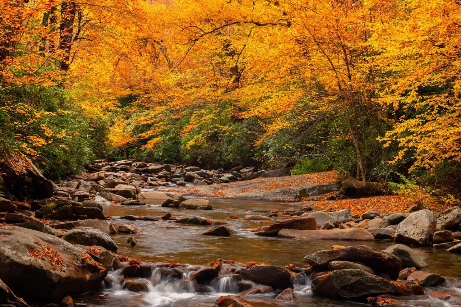 Romantic, Honeymoon Cabin In The Smokies! แกตลิงเบิร์ก ภายนอก รูปภาพ